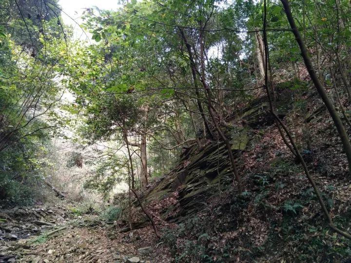 守护飞行城堡
